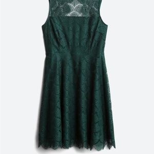 Shara Lace Dress